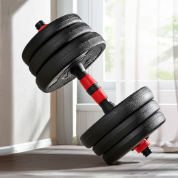 B31588 Гантельный набор разборный 2х10кг (пластик/цемент) 20кг